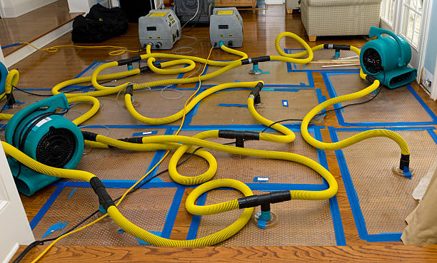 Professional Structural Drying And Dehumidification technician working in Marysville, KS
